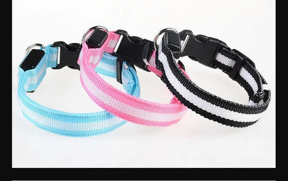 LED Nylon Dog Collar for Night Safety and Visibility - Smarsty