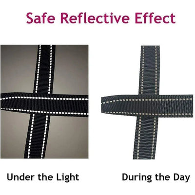 Reflective Dog Harness Leash for Safe Night Walks - Smarsty
