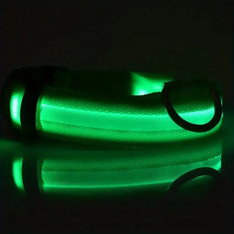 Nylon LED Glow In The Dark Dog Leash - Smarsty
