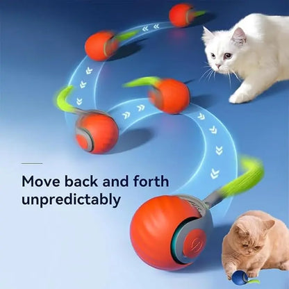 Interactive Electric Rolling Cat Ball Toy Rechargeable Fun - Smarsty