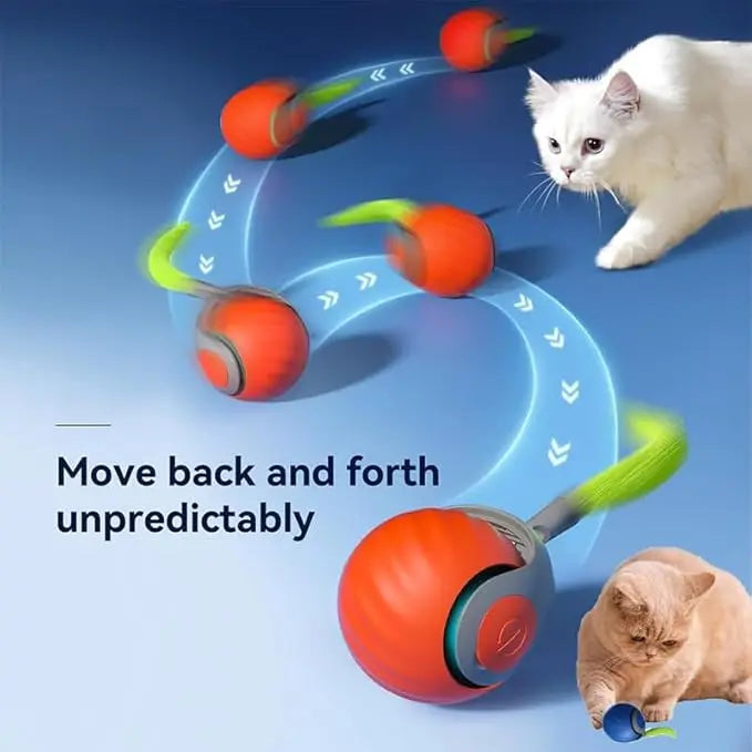 Interactive Electric Rolling Cat Ball Toy Rechargeable Fun - Smarsty