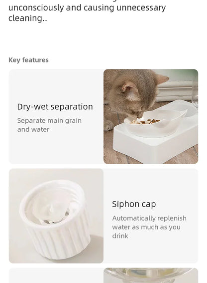 Tilted Pet Bowl for Healthy Feeding Angle - Smarsty