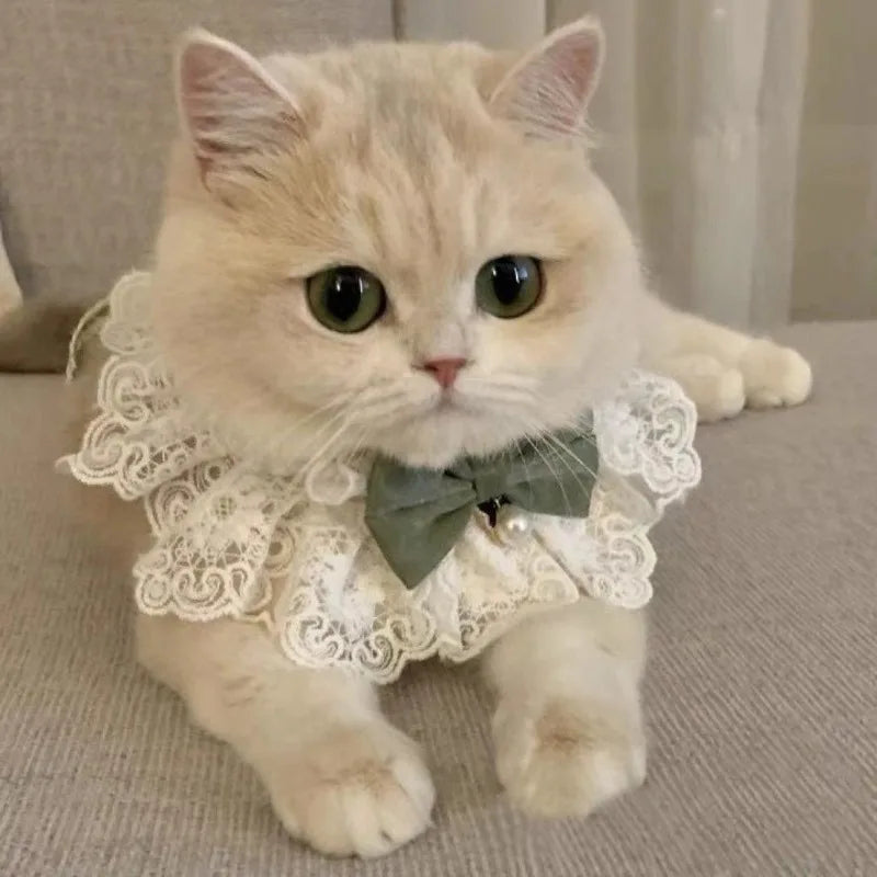 Cute Cat and Dog Tie Pet Drool Towel with Lace - Smarsty