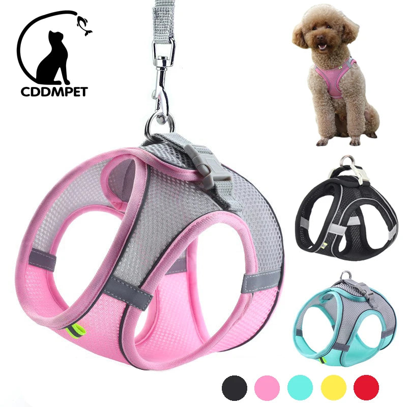 Adjustable Dog Harness Leash Set for Small Dogs - Smarsty
