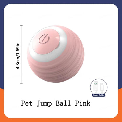 Interactive Smart Dog Toy Ball For Active Play - Smarsty