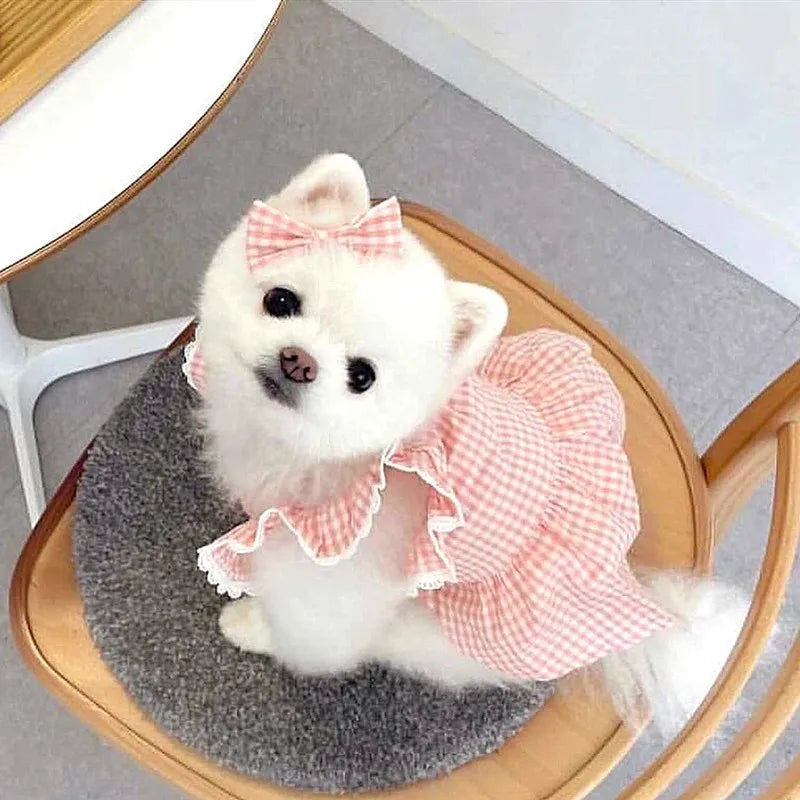 Pink Plaid Lace Dog Dress for Summer Comfort - Smarsty