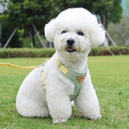 Puppy Harness Leash Set for Small Dogs - Smarsty