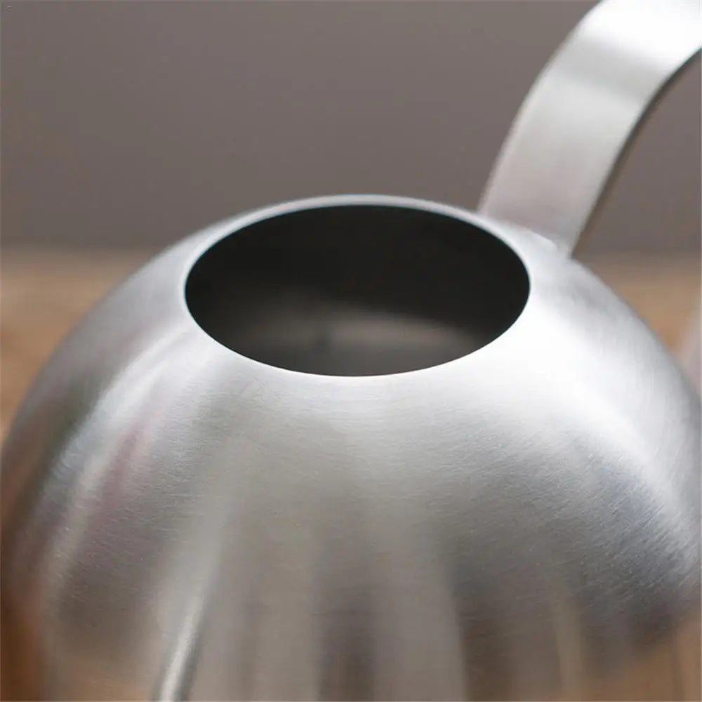 Stainless Steel Long Mouth Watering Can for Indoor Plants - Smarsty