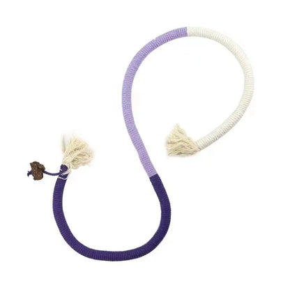 Interactive Cat Teaser Toy with Molar Rope Benefits - Smarsty