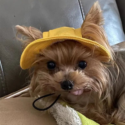 Cute Cat Dog Sun Hat with Ear Hole for Outdoor Fun - Smarsty