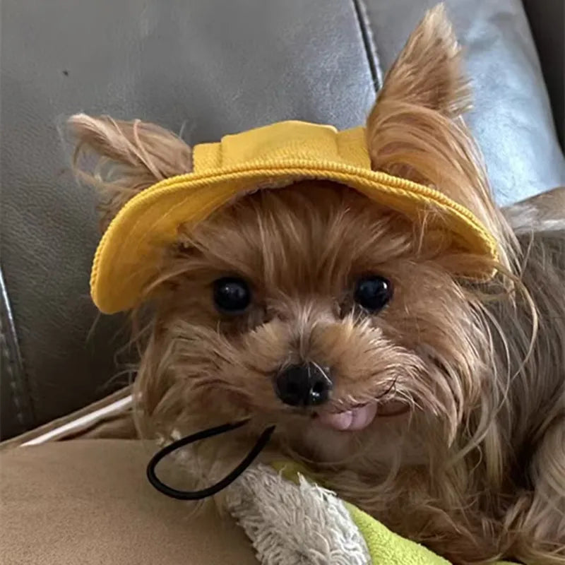Cute Cat Dog Sun Hat with Ear Hole for Outdoor Fun - Smarsty
