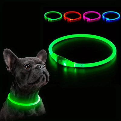 USB Rechargeable LED Dog Collar for Safety - Smarsty