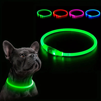 USB Rechargeable LED Dog Collar for Safety - Smarsty