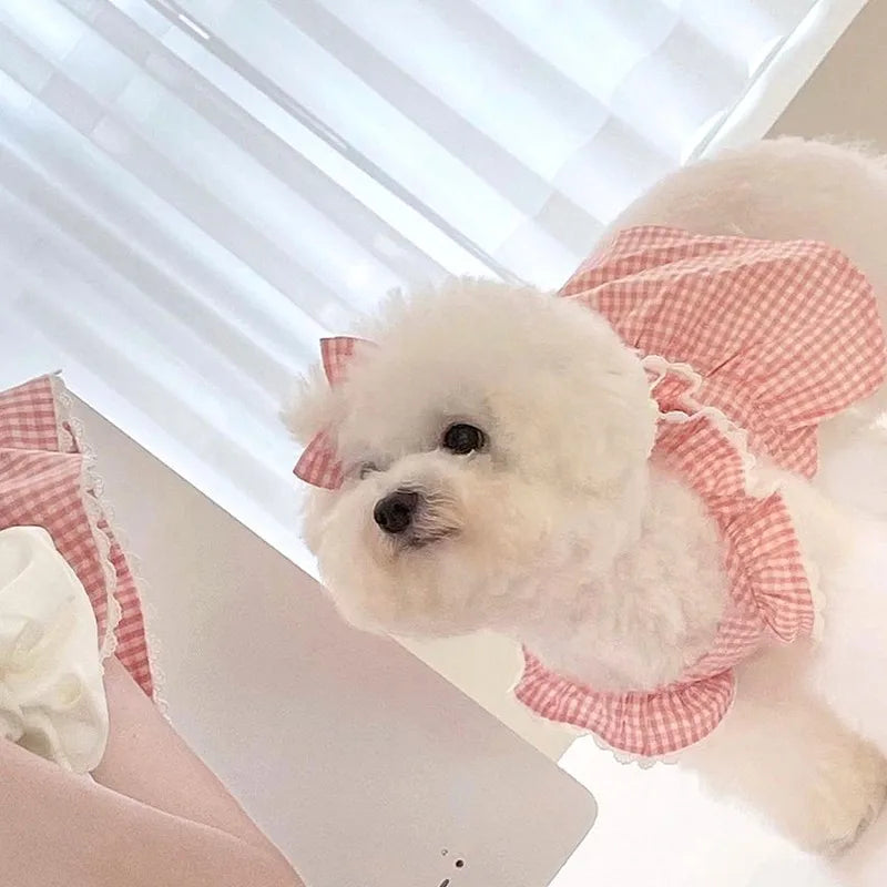 Pink Plaid Lace Dog Dress for Summer Comfort - Smarsty