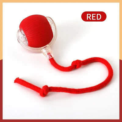 Rechargeable Cat Interactive Ball Toy With Faux Tail - Smarsty