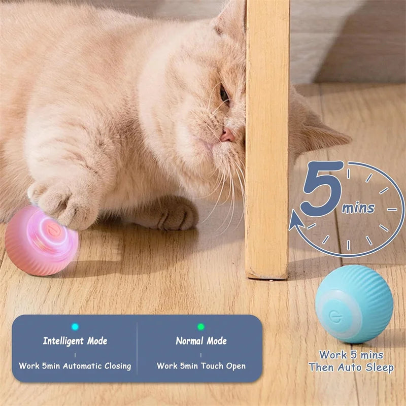 Interactive Smart Dog Toy Ball For Active Play - Smarsty
