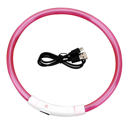 LED USB Dog Collar for Night Safety and Visibility - Smarsty