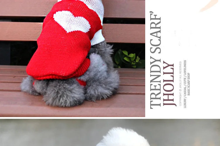 Warm Dog Coat for Small Dogs Winter Jacket - Smarsty