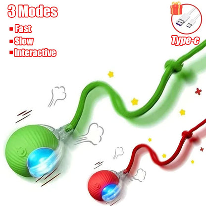 Interactive Rechargeable Cat Toy Ball With Faux Tail - Smarsty