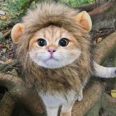 Lion Mane Wig Hat for Dogs and Cats - Smarsty
