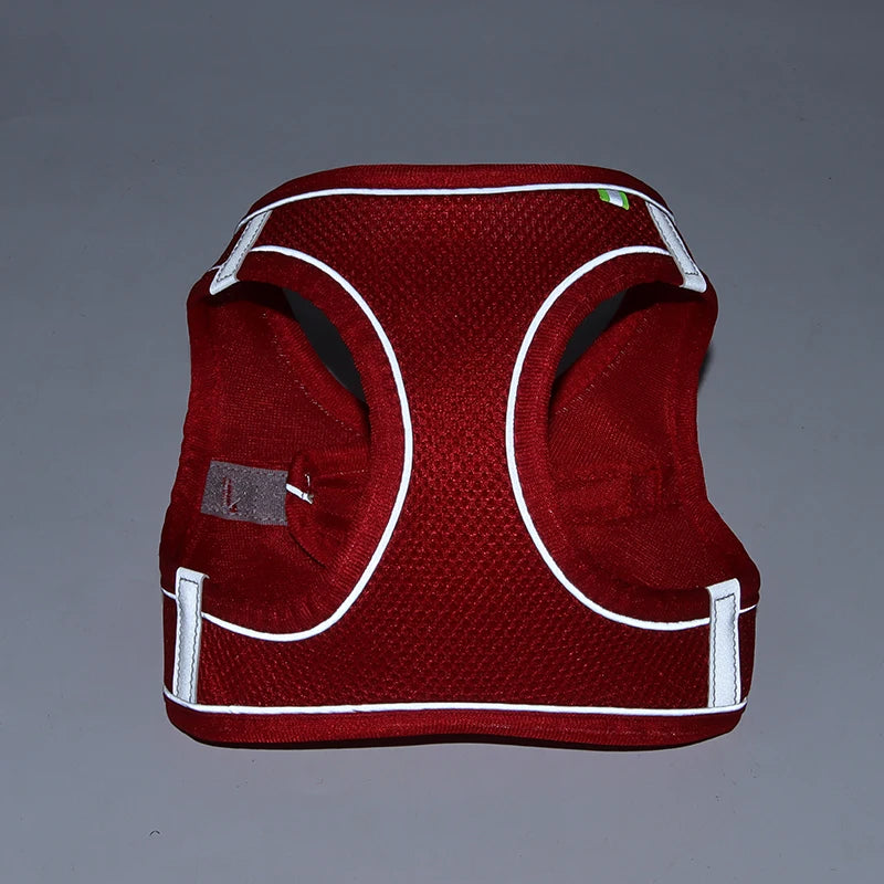Adjustable Dog Harness Leash Set for Small Dogs - Smarsty