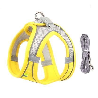 Adjustable Dog Harness Leash Set for Small Dogs - Smarsty