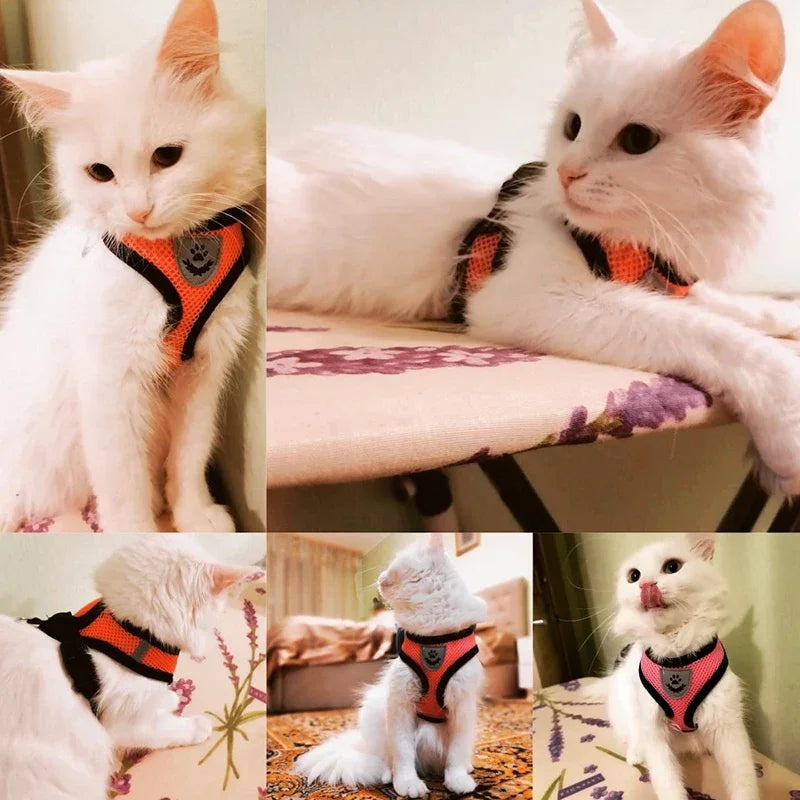 Breathable Adjustable Cat Dog Harness with Reflective Features - Smarsty