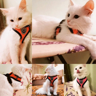 Adjustable Breathable Dog Cat Harness with Reflective Safety - Smarsty