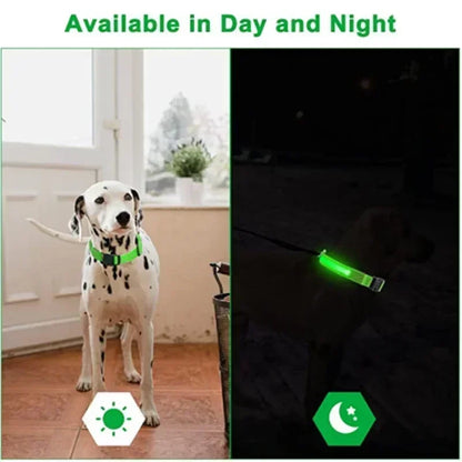 LED Glowing Dog Collar Adjustable Rechargeable Night Safety - Smarsty