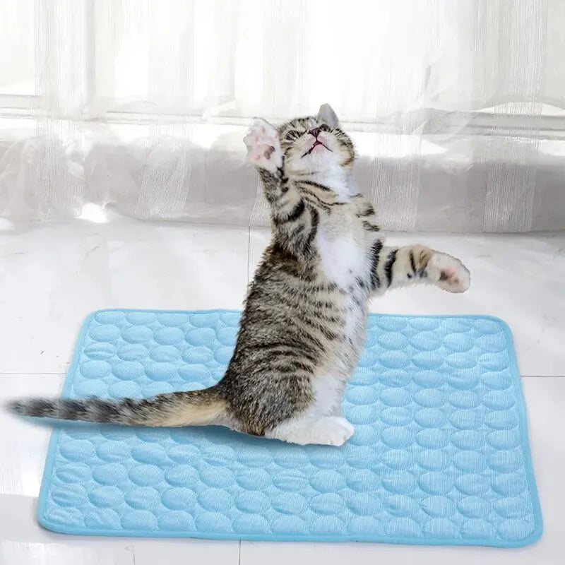 Cooling Pet Ice Mat for Summer Comfort and Relief - Smarsty