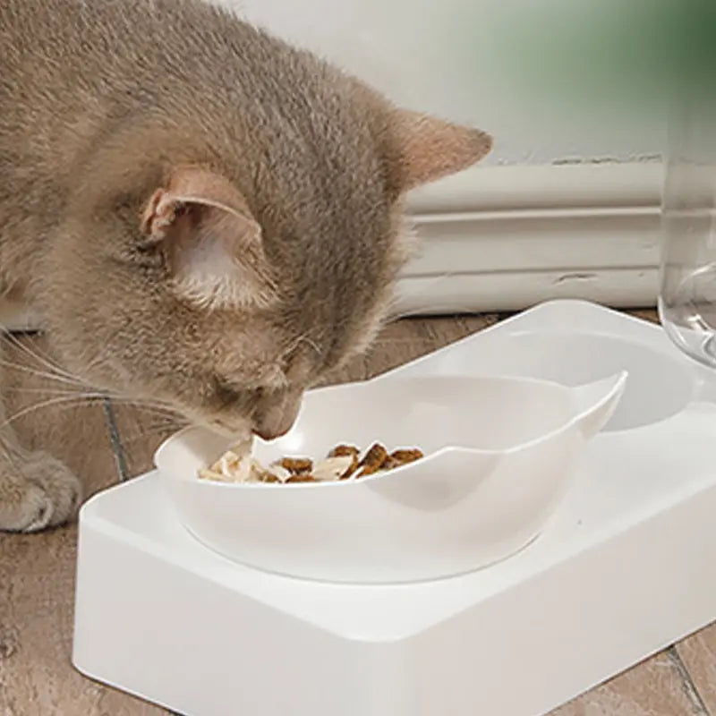 Tilted Pet Bowl for Healthy Eating and Comfort - Smarsty