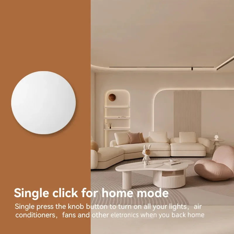 Tuya ZigBee Smart Scene Switch for Voice Control - Smarsty