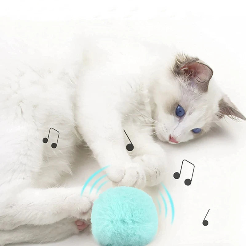 Interactive Cat Toy Ball with Sound and Catnip - Smarsty