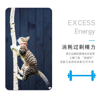 Interactive Electric Bug Cat Toy for Engaging Play - Smarsty