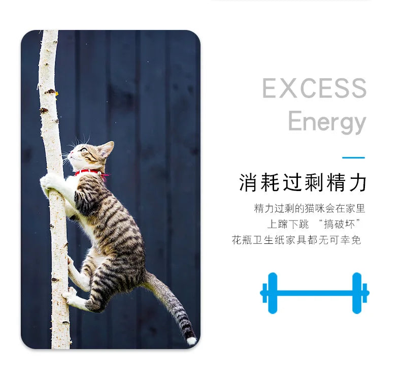 Interactive Electric Bug Cat Toy for Engaging Play - Smarsty