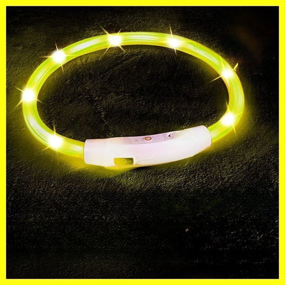 USB Rechargeable LED Dog Collar for Night Safety - Smarsty