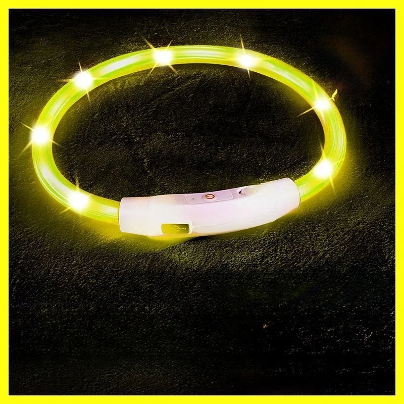 USB Rechargeable LED Dog Collar for Night Safety - Smarsty