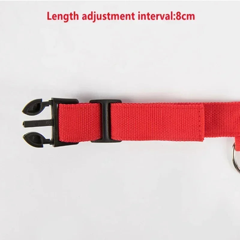 LED Glowing Dog Collar Adjustable Rechargeable Night Safety - Smarsty