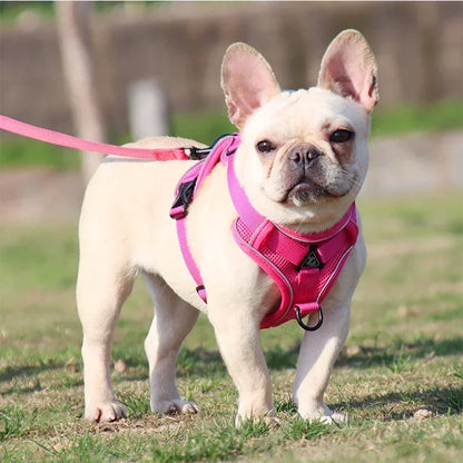 No Pull Adjustable Dog Harness and Leash Set - Smarsty