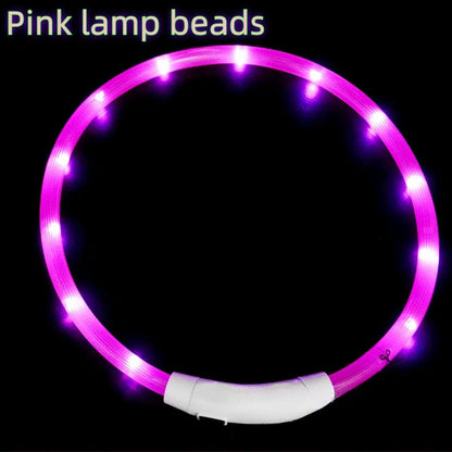 USB Rechargeable LED Dog Collar for Night Safety - Smarsty