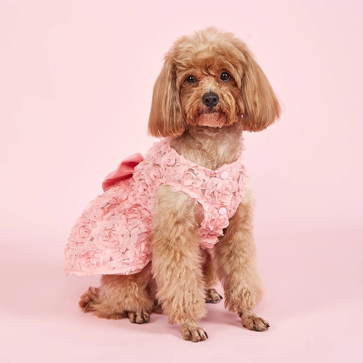 Pink Dog Princess Dress with Embroidered Flowers and Bowknot - Smarsty