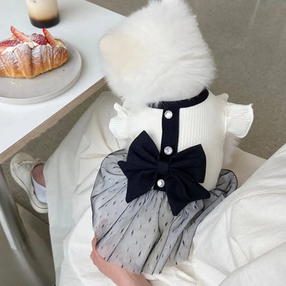 Luxury Dog Dress With Bow Lace For Summer - Smarsty