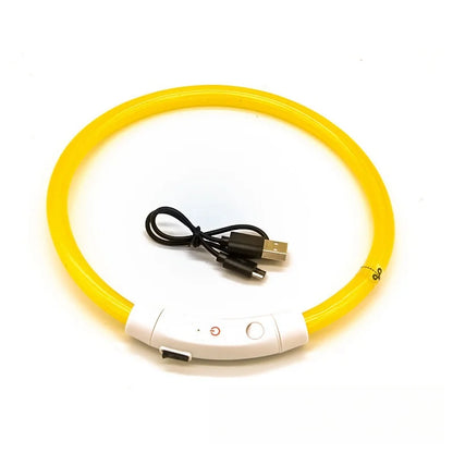 USB Rechargeable LED Dog Collar for Night Safety - Smarsty