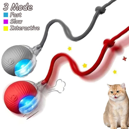 Rechargeable Cat Interactive Rolling Ball Toy Set - Smarsty