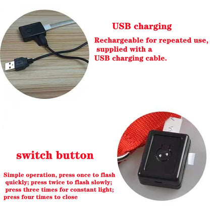 USB Charging Bright LED Dog Collar for Night Safety - Smarsty