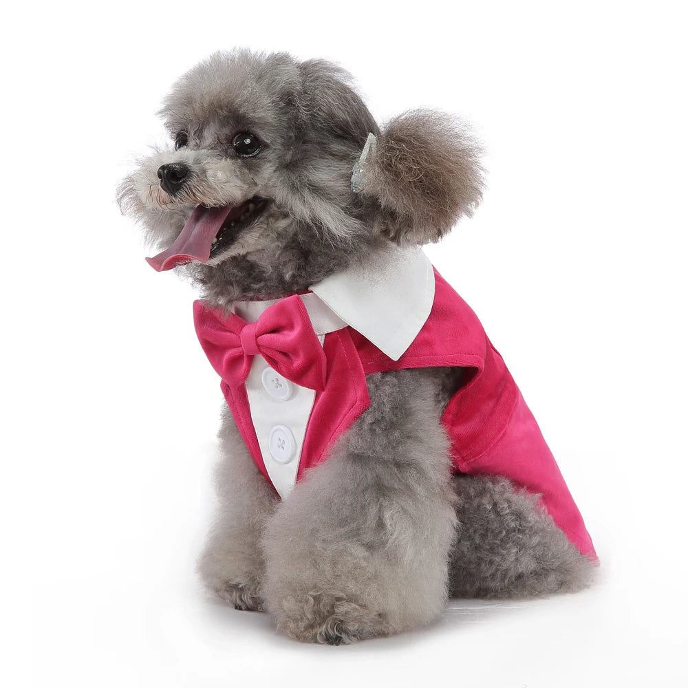 Formal Tuxedo Dog Costume for Weddings and Events - Smarsty