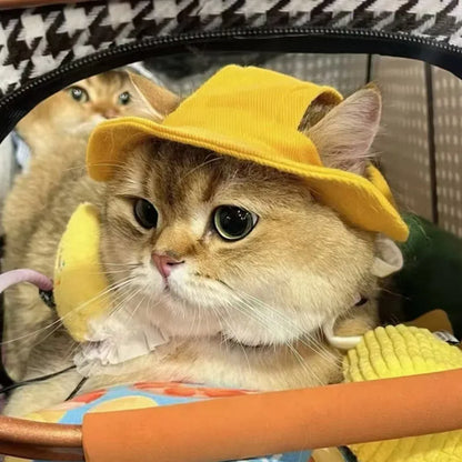 Cute Cat Dog Sun Hat with Ear Hole for Outdoor Fun - Smarsty
