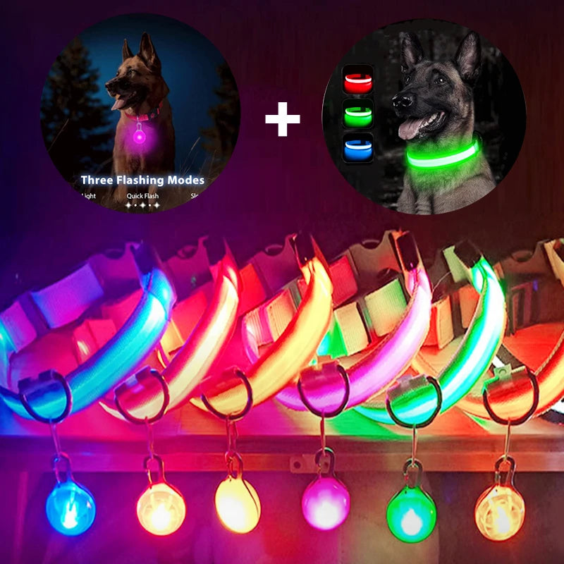 USB Charging Bright LED Dog Collar for Night Safety - Smarsty