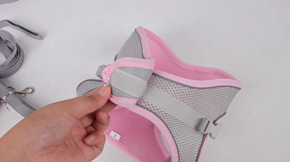 Adjustable Dog Harness Leash Set for Small Dogs - Smarsty
