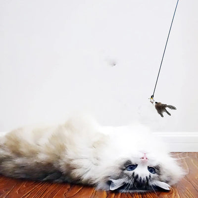 Cat Teaser Stick With Bell and Feather Fun - Smarsty